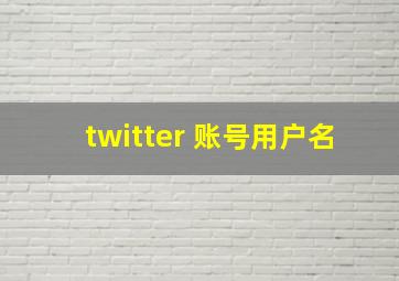 twitter 账号用户名